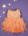 Newborn Party Gown