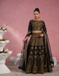 Women's Lehenga