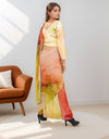 Women's Pant Saree