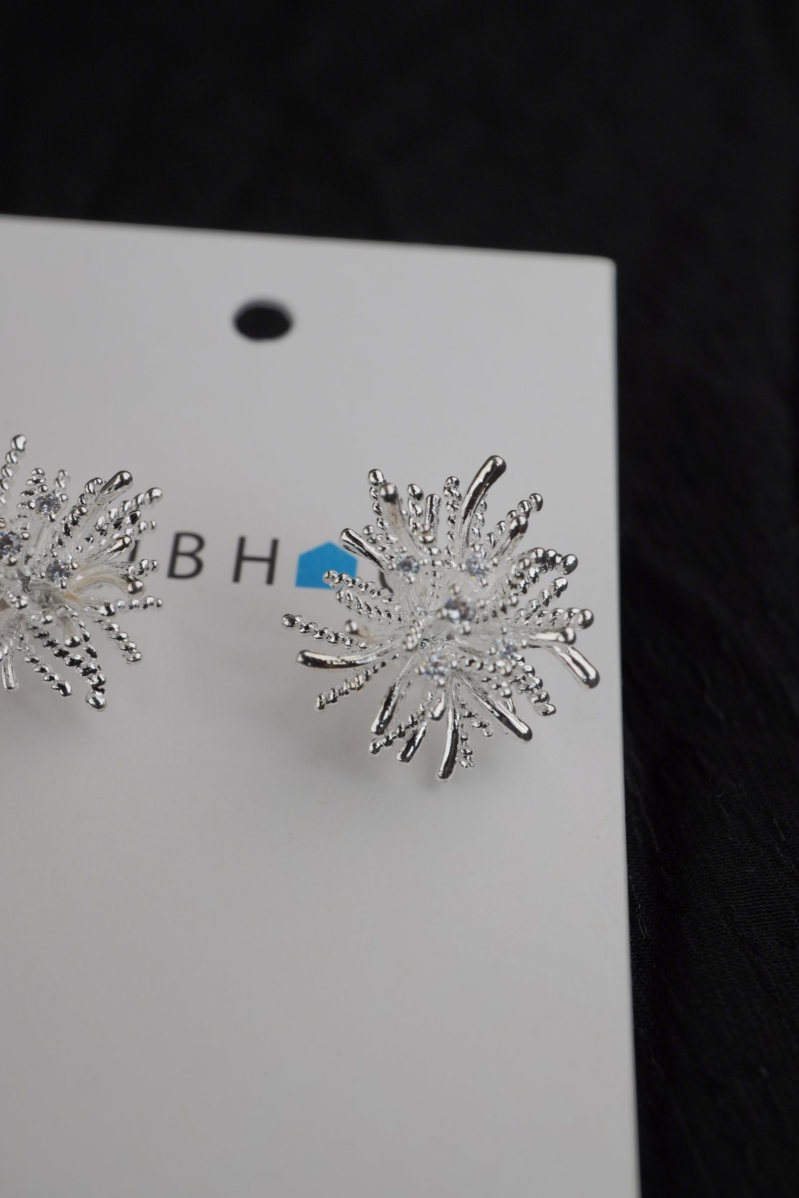 Women's Ear Ring